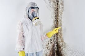 Best Mold Remediation for Vacation Homes  in Malta, IL